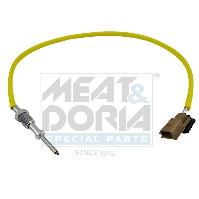Sensor, exhaust gas temperature